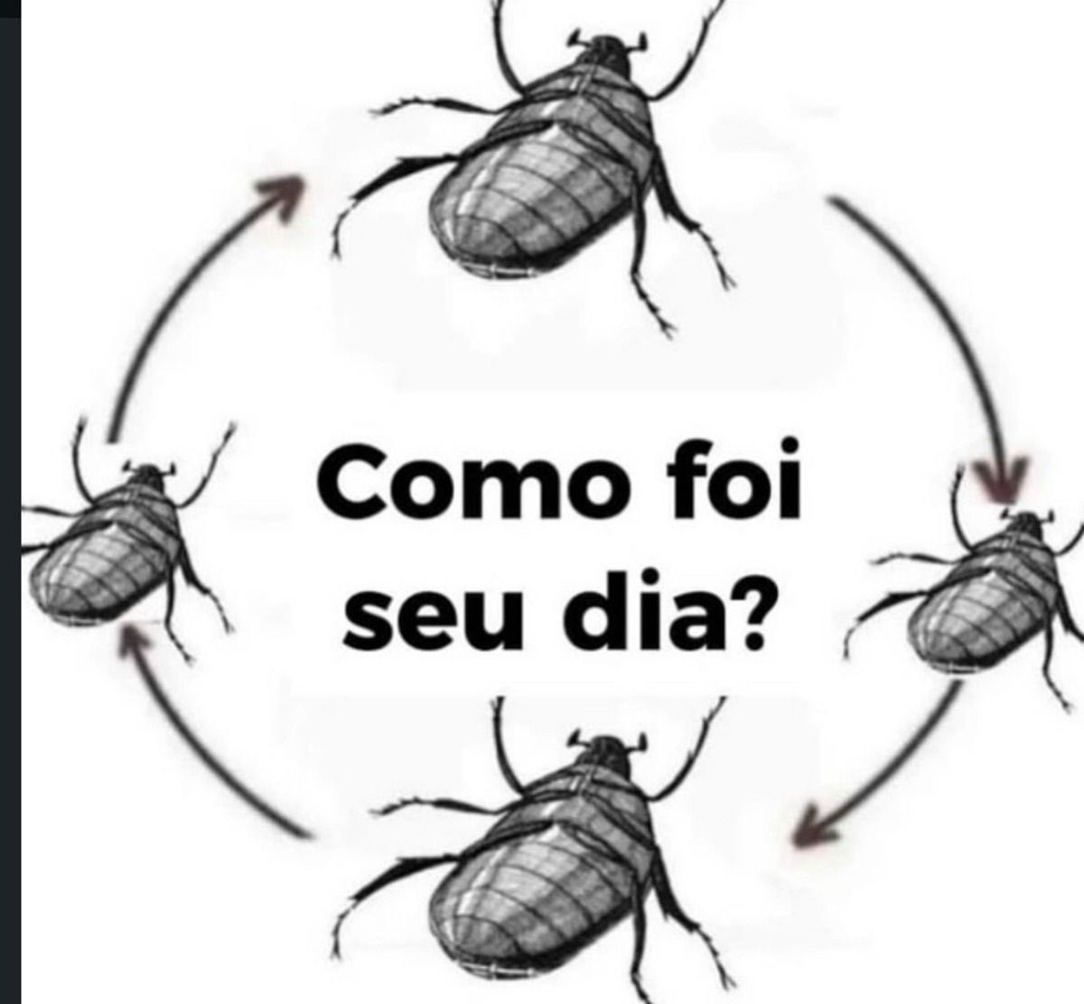 shitpostverdade's tweet photo. https://t.co/KtpBSy2ywM