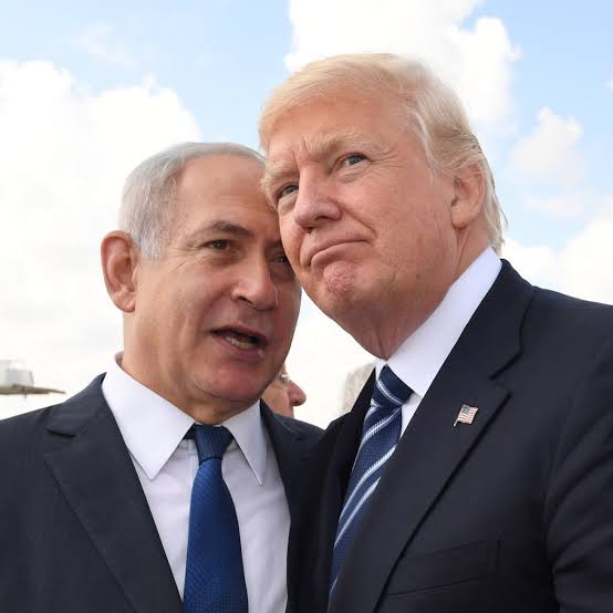 Gabi_Intrieri's tweet photo. @OldeWorldOrder Good Goyim https://t.co/38PXuuGDMY