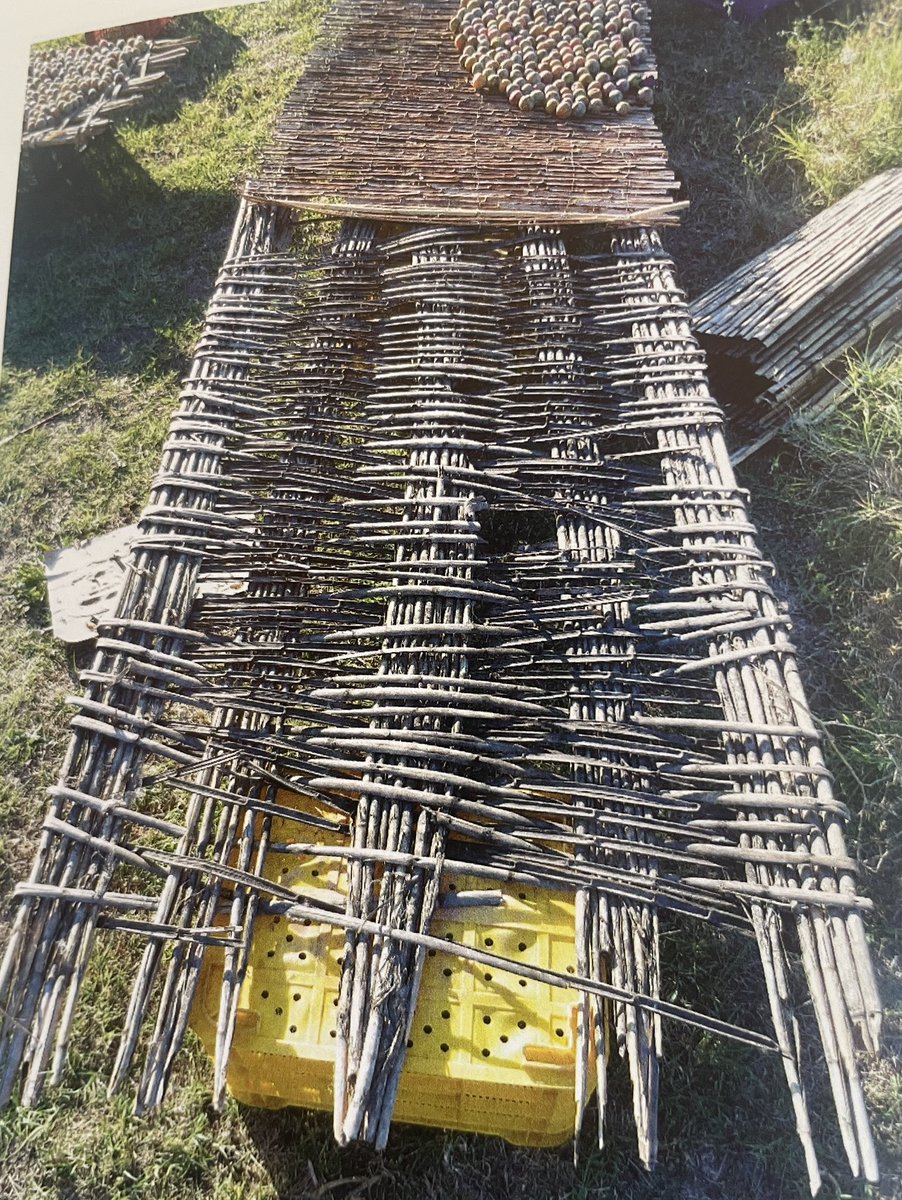 ChileHuerta's tweet photo. Comienza a salir el Sol y con ello una nueva oportunidad para deshidratar con el Sol y sin depender de energía eléctrica o incluso a combustión como lo hacen algunos. 

La deshidratación es ancestral. Inténtala en casa. 

Una de las claves es la ventilación. https://t.co/3jyyxo875c