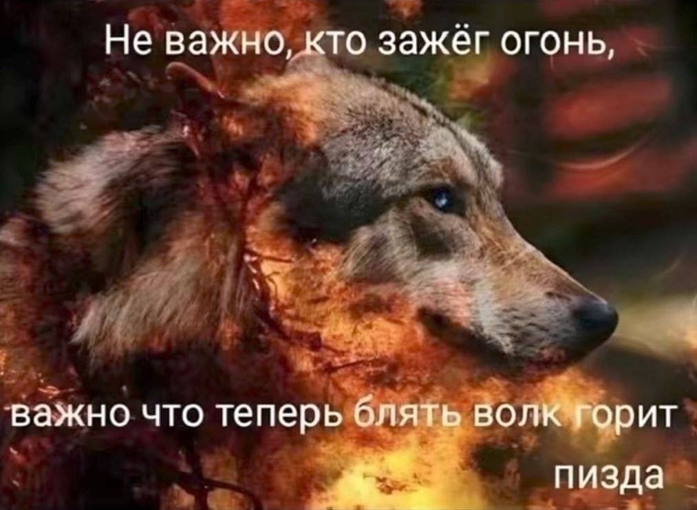 Dark_Chief_'s tweet photo. https://t.co/73TCwdBKRK