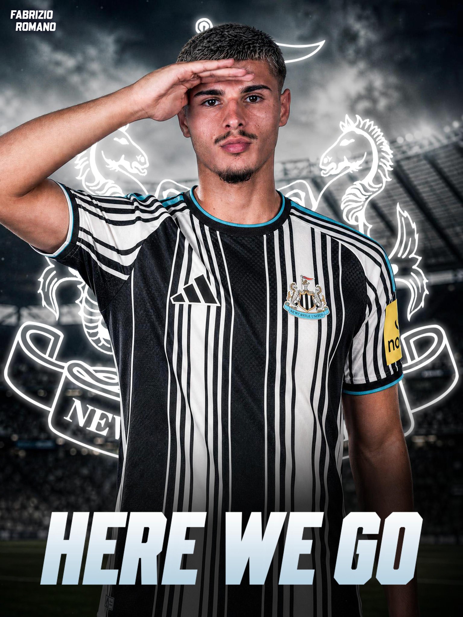 Matias Fernández Pardo to Newcastle