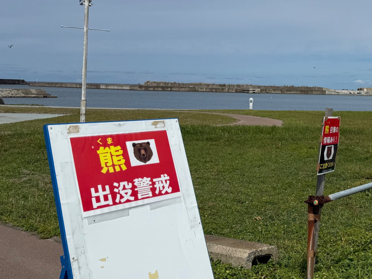TokkeWings's tweet photo. やけに人がいない砂浜だと思ってたらクマ注意��看板。シギチ見やすくて良かったが怖いなあ。
すぐ出せる位置にスプレーを携帯しているが、最終手段なので出会わないための対策を気をつけたい。

8/31 青森県日本海側 https://t.co/UT1zSBAQYn