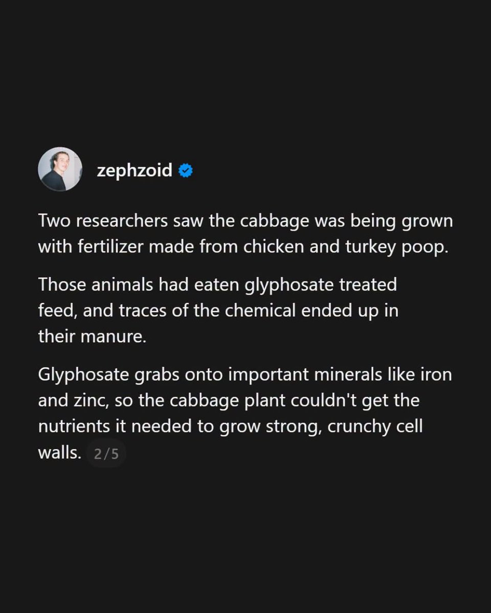 BabyD1111229's tweet photo. An Iowa farmer just revealed that sauerkraut juice can break down glyphosate hiding in dirt.

This all started with a problem that should never even happen. 

Organic sauerkraut, which is supposed to be crunchy, kept turning soft and mushy instead…

Two researchers figured out the cabbage was getting fertilizer made from chicken and turkey poop.

Those animals had eaten glyphosate treated feed, and traces of the chemical ended up in their manure.

Glyphosate grabs onto important minerals like iron and zinc, so the cabbage plant couldn’t get the nutrients it needed to grow strong, crunchy cell walls.

That’s the part that should surprise you.

Even food labeled organic can get exposed to glyphosate without anyone realizing it.

Then the scientists took the leftover juice from making sauerkraut, full of a helpful bacteria, and poured it onto glyphosate contaminated soil.

The juice broke down 80 to 90 percent of the glyphosate in just 6 to 7 months, and the corn grown there afterward actually grew better too.

A farmer named Michael McNeill confirmed it actually works. 

This is an awesome finding, especially when the reality is most farmers in this country are trapped in cycles of dependency, with glyphosate at the forefront of commodity crop production.

Luckily, there are plenty of farmers out there going completely chemical free, and you might be surprised how many you can find near you using the Localize app.

 ✨ Wait until they find out vinegar with salt and couple drops of dawn will do to the chemtrails 😉🤭