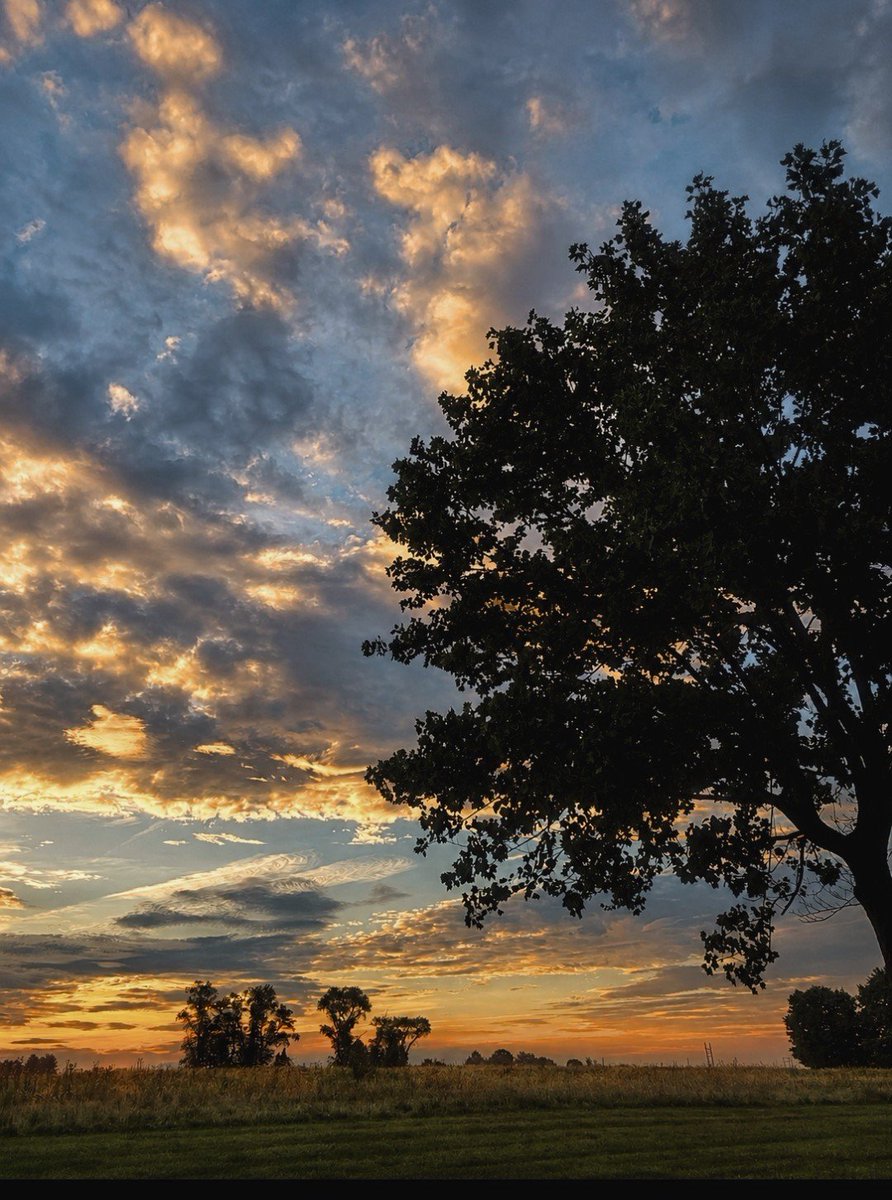 Bobbinewman21's tweet photo. sunrise https://t.co/hN8YpXXgWB