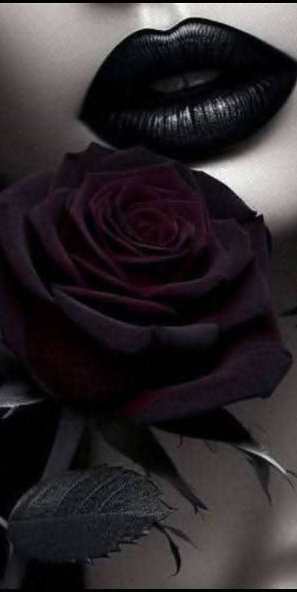 Tmaramara2030's tweet photo. #seeyou 🌹 https://t.co/4gc1v2rPWG