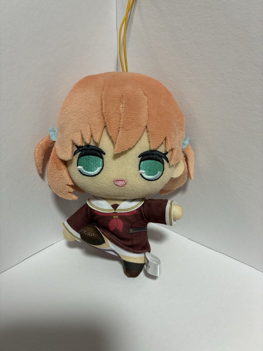 sakayan1989's tweet photo. 手術成功！
スライディングー⚾️

#まいにちかほぬい https://t.co/XL7hOTkeuO