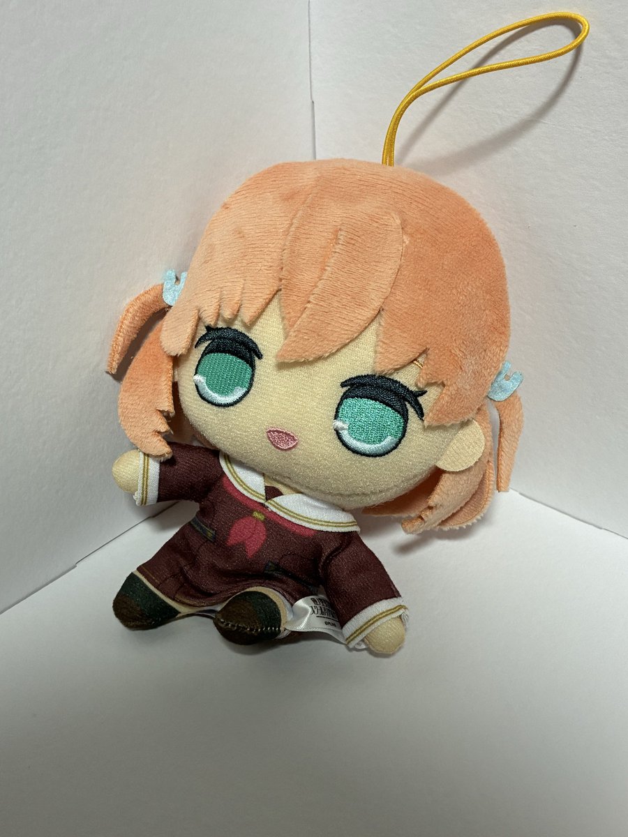 sakayan1989's tweet photo. 手術成功！
スライディングー⚾️

#まいにちかほぬい https://t.co/XL7hOTkeuO
