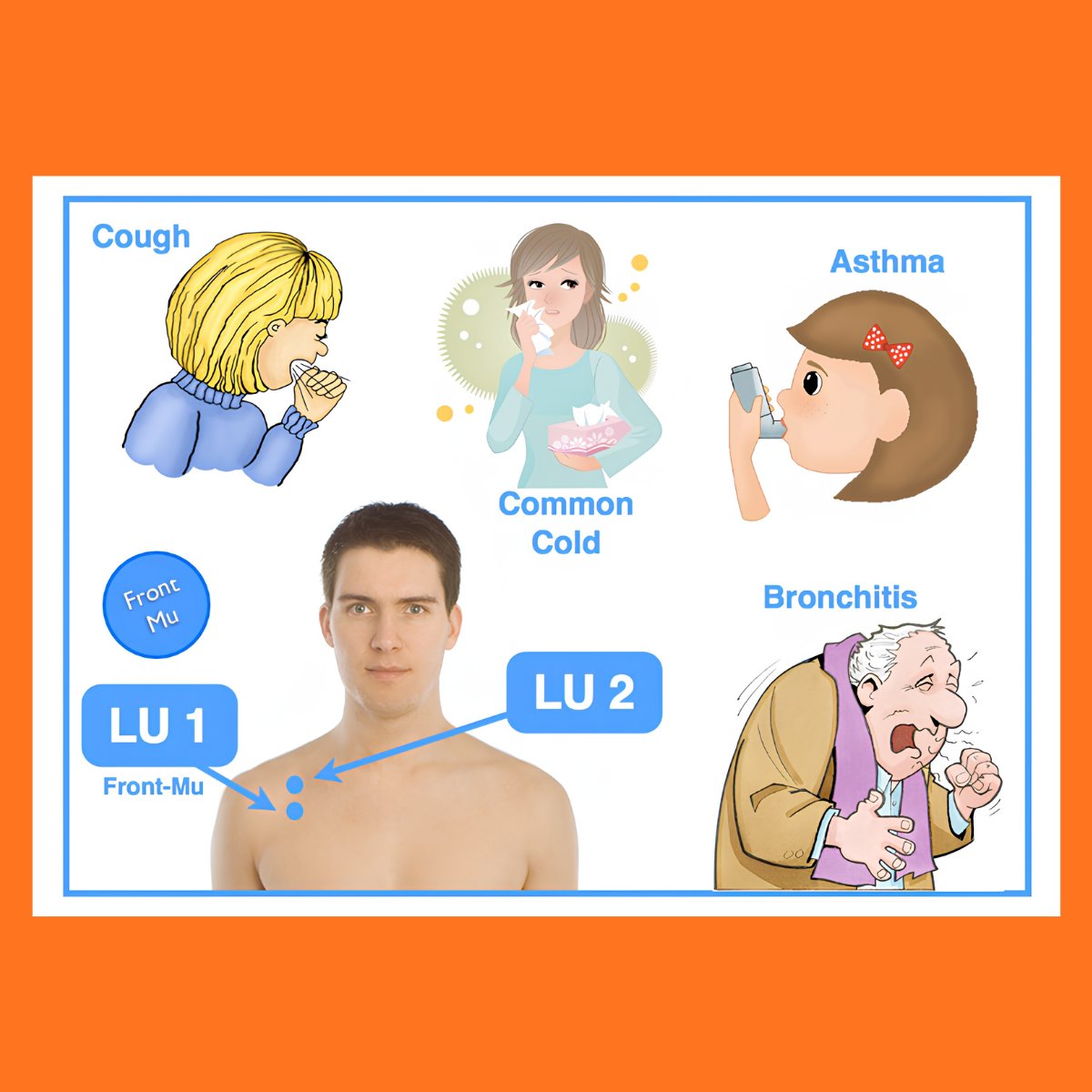 AcuProAcademy's tweet photo. LU1 &amp; LU2: Front-Mu points for cough, asthma, colds &amp; bronchitis. 🌬️

🌱 If you enjoyed my graphics, check out my illustrated guide for acupuncture points here:
👉 https://t.co/ertuoblJYy

 #Acupuncture #TCM https://t.co/adPyhD4WzI