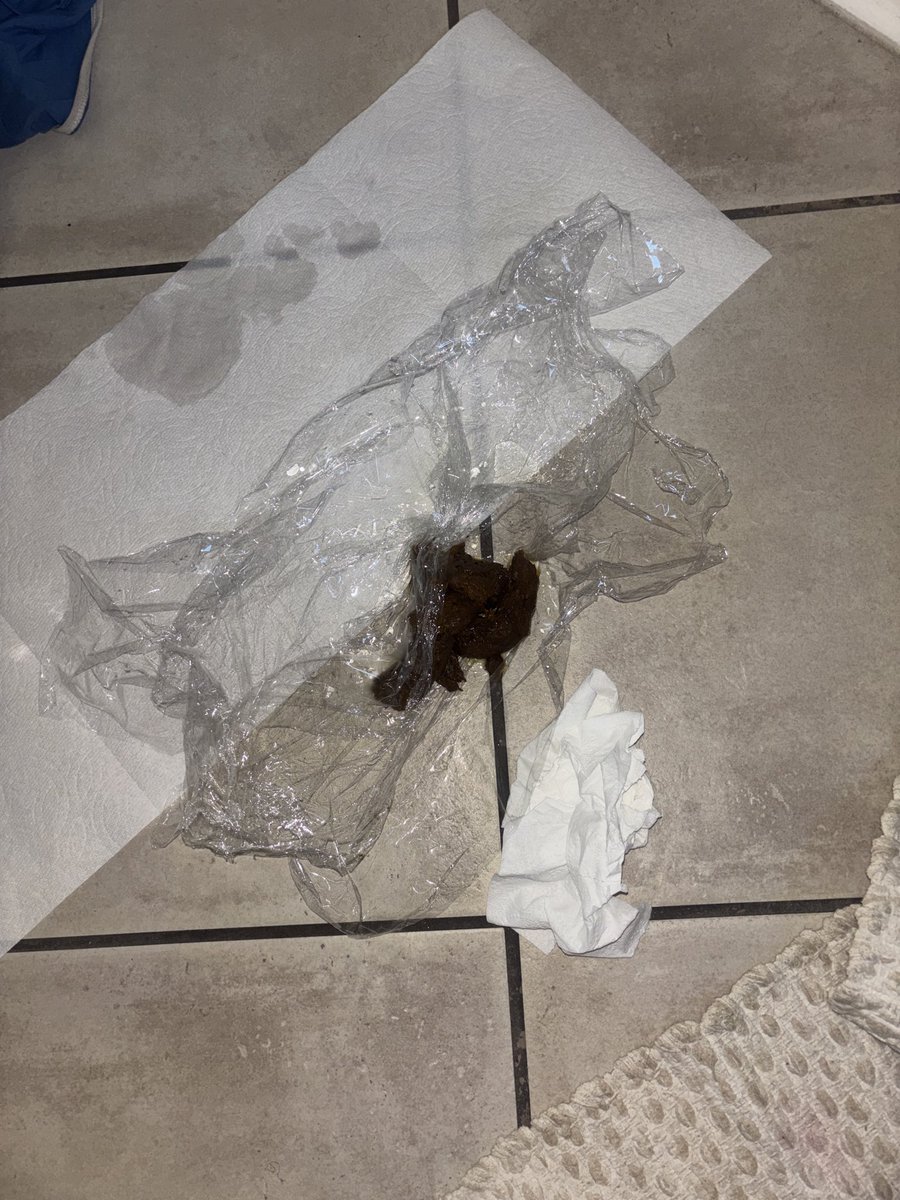 MaskedandGassy's tweet photo. enjoy the aftermath from a custom made earlier 🥰🫶�� follow and dm for custom made scat content ! 

#scat #girlspooping #scatgirl #scatkink #scatcustom #coprophilia #scatgoddess #scatfetish #humantoilet #scatslave https://t.co/qYUAJ067WD