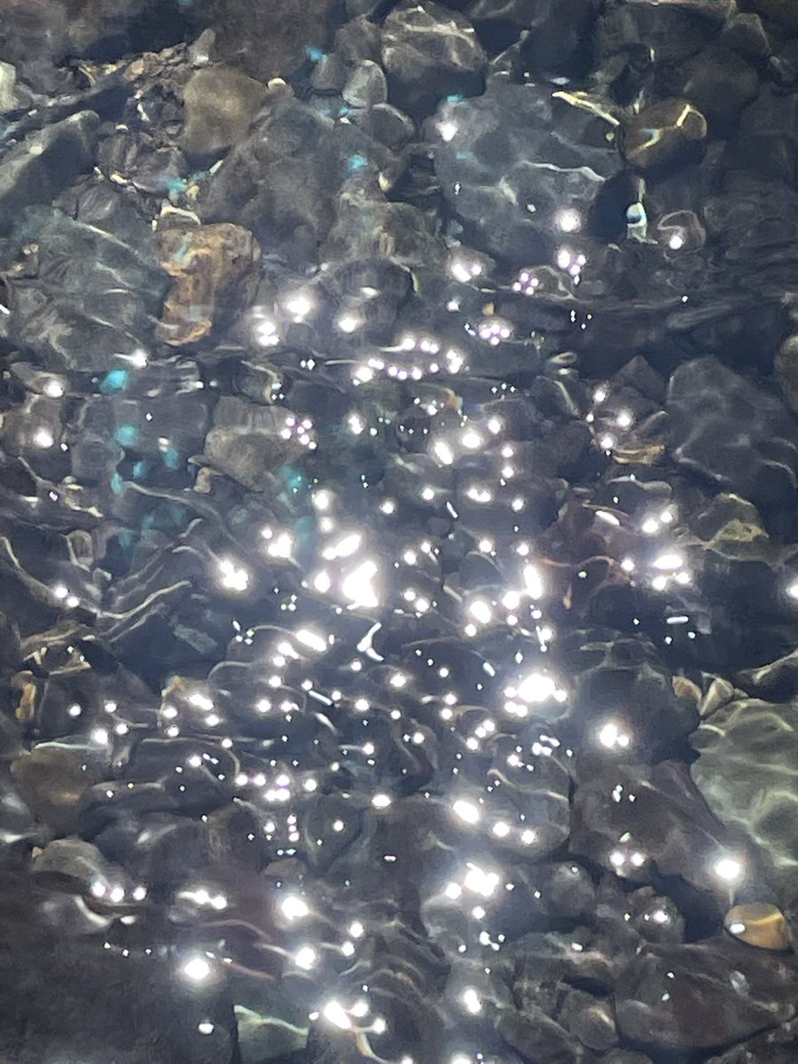 7thgoddess's tweet photo. 川に映ったお日さまー、宇宙人の光っぽくない？
明日から心機一転、農業🧑‍🌾へゴー🌾👽 https://t.co/AFPGOIltIn
