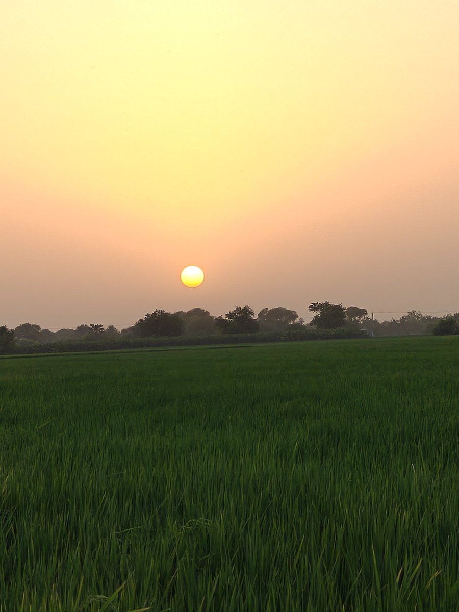 Bajwa8686's tweet photo. https://t.co/pFLdzhsqO7