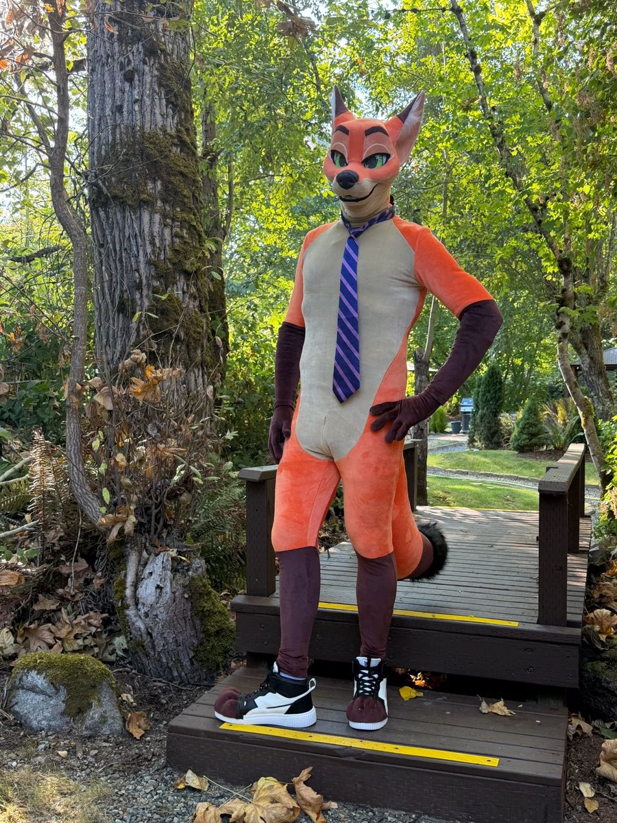Irbis_Midnay's tweet photo. Photo from the client

Thank you ^__^
#furry  #furrycommission  #fursuitcommission https://t.co/pZTpHrpwLC