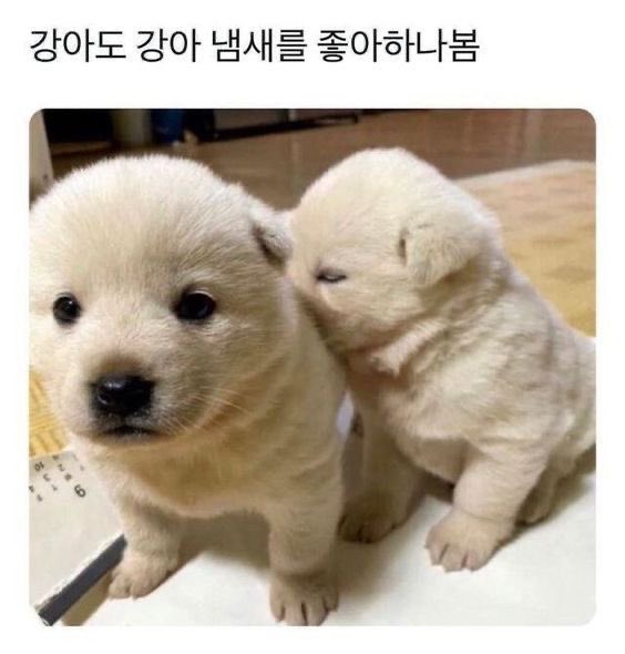 6l2920's tweet photo. https://t.co/ZdB5baBYbT
