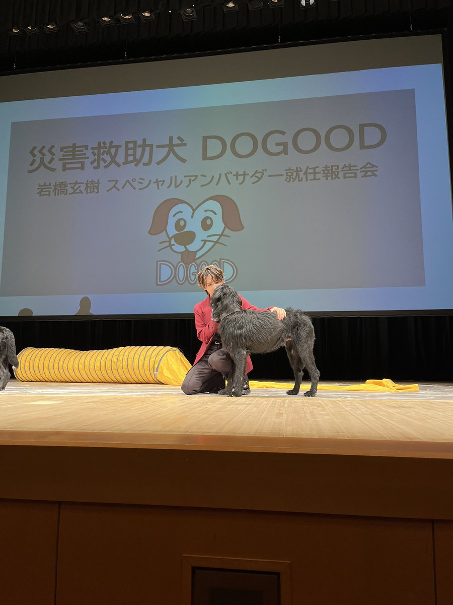 krp_iwg's tweet photo. とっても楽しかった☺️
災害救助犬のことも学べて良いイベントでした💖
写真はうまく撮れなかったけど犬と戯れる玄樹くんかわいかった🥹💕
#岩橋玄樹 #DOGOOD https://t.co/Ngkip2v8S9