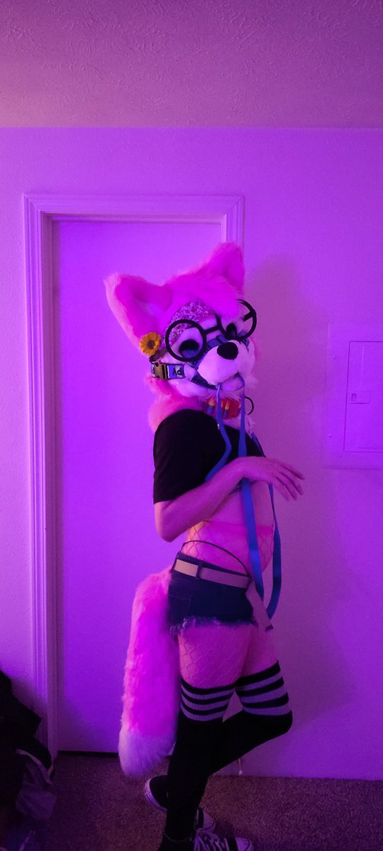 ChrisTheWolfAD's tweet photo. POV: I heard you say "walk" :3c https://t.co/d5v4BEmTY3