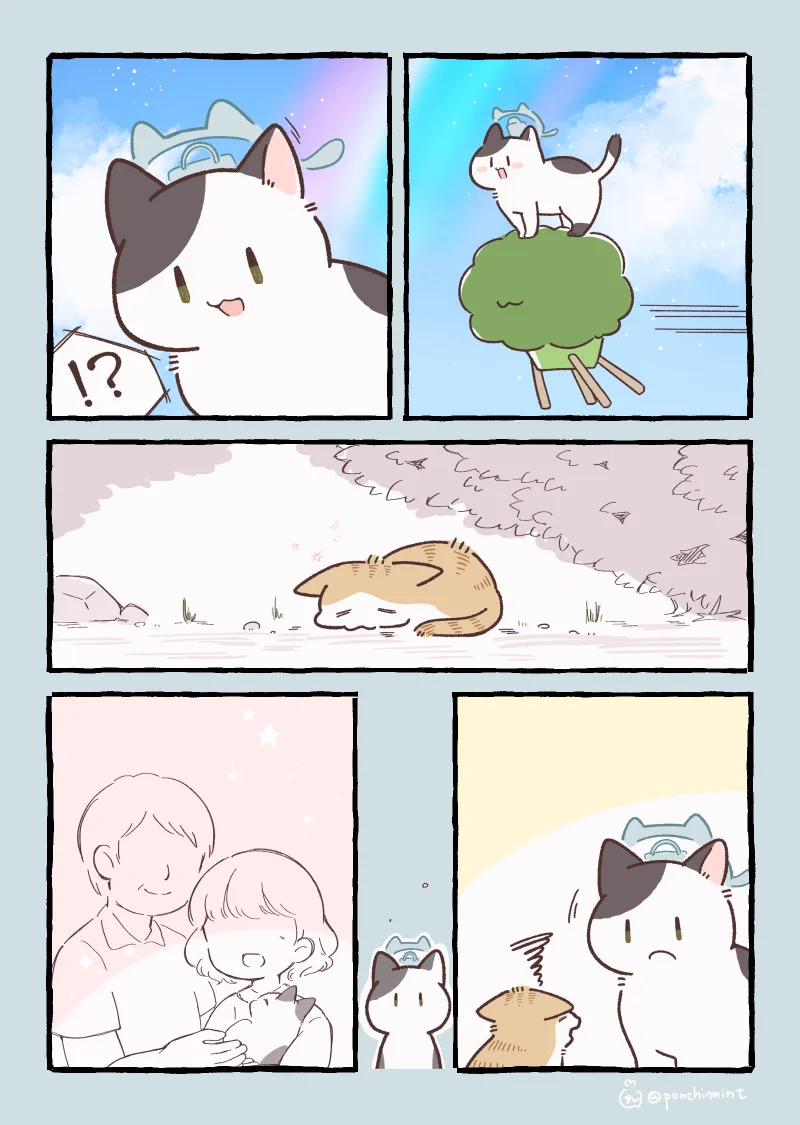 しらほし卯乃@2巻5月20日発売🌻🐹 в X: „いつかのお盆、どこかの猫の