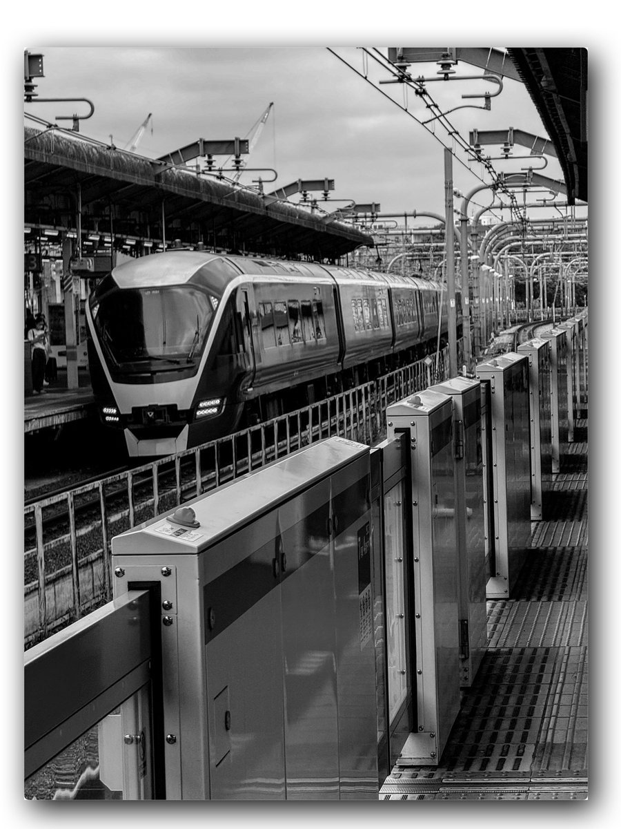 AdrianaFathy's tweet photo. The limited express stands proudly, radiating dignity as it passes the local trains. This is not ego—it carries people’s longing for rail travel. https://t.co/bMAqZ2D9KW