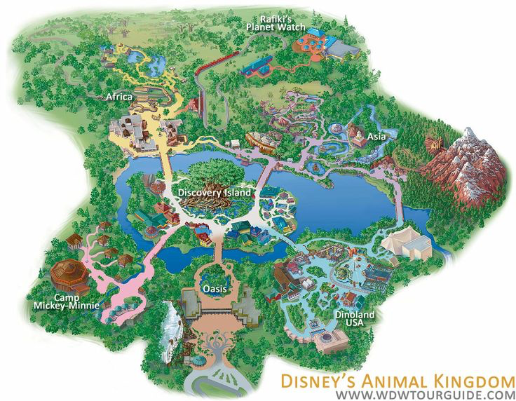 ickfjules's tweet photo. @OdysseyJurassic Absolutely yes! Yesterday I was thinking about how AK was in 2010's. Almost nothing to do. And they will close expedition to refurbishment... https://t.co/ETwEAyikvq