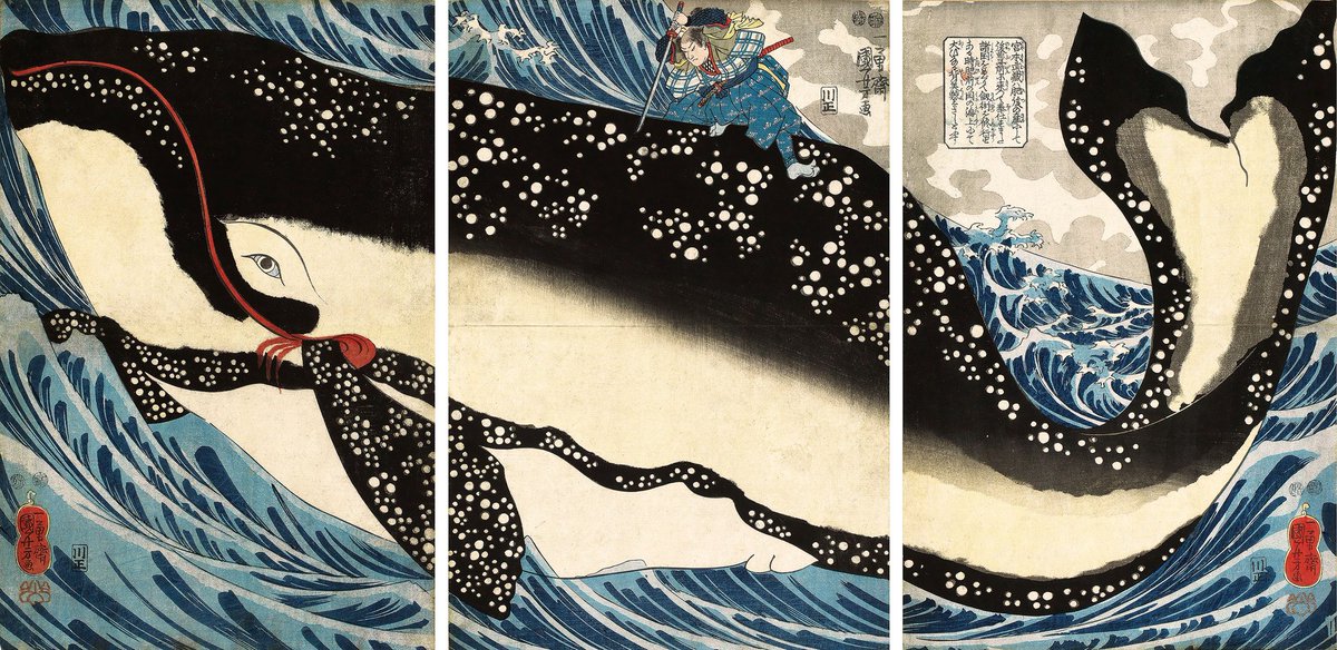 rinhwan_blog's tweet photo. 刀1本でクジラに挑む。
そんなありえない場面を、3枚続きで描いた浮世絵です。

もちろん作り話で、実際の記録は残っていません。
それなのに、画面の説明書きはやけに細かく、クジラの種類まで「セミクジラ」と指定されています。

いちばん現実離れしているところに、いちばん具体的な情報が書き込まれている。

本来、3枚続きの錦絵は、どの1枚だけ見ても成立するように作られるのが一般的です。
でも国芳は、クジラの体をあえて3枚で表現しました。

だから真ん中の1枚だけを手に取ると、残るのは黒い背中だけ。何を見ているのか、一瞬わからなくなる構図です。

🖼歌川国芳《宮本武蔵の鯨退治》弘化4年（1847年）頃、大判錦絵三枚続、個人蔵
#りんの鑑賞ノート