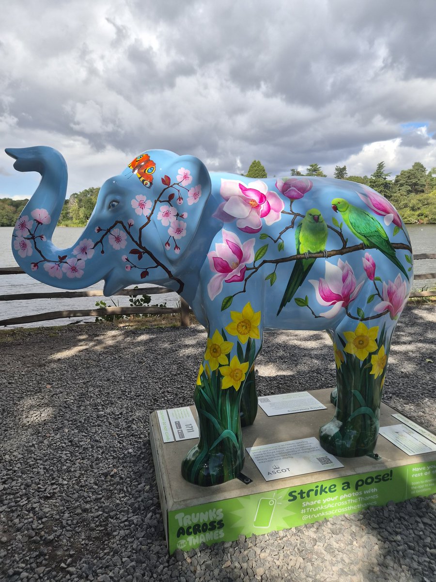 _Emily_Hicks's tweet photo. Lovely 6.8k walk to find some beautiful elephants! 
@wildinart @thameshospice #trunksacrossthethames https://t.co/LEbCGRTAfP