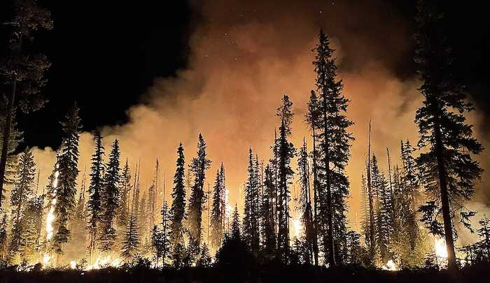 jihadwatchRS's tweet photo. Islamic State calls on Muslims to start wildfires and ‘exhaust the workers of the tyrant’

The leftist elites insist that wildfires are a result of “climate change” and use them to push their agenda to cripple Western economies and impoverish the people of Europe and North America. They simultaneously maintain that Europe needs ever more Muslim migrants. See how neatly it all works together? The migrants come in, they start the fires, the Left uses the fires to advance its agenda, and calls for more migrants.

Read more at the link in the next post.