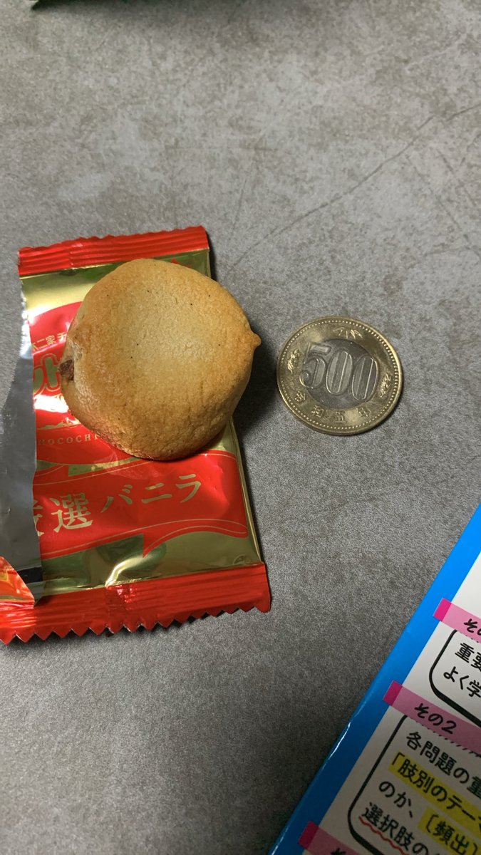 solt_0214's tweet photo. 割とお高いお菓子になったカントリーマアム……お前、こんなにちっちゃーくなったのね😭 https://t.co/oeIef8pWaj