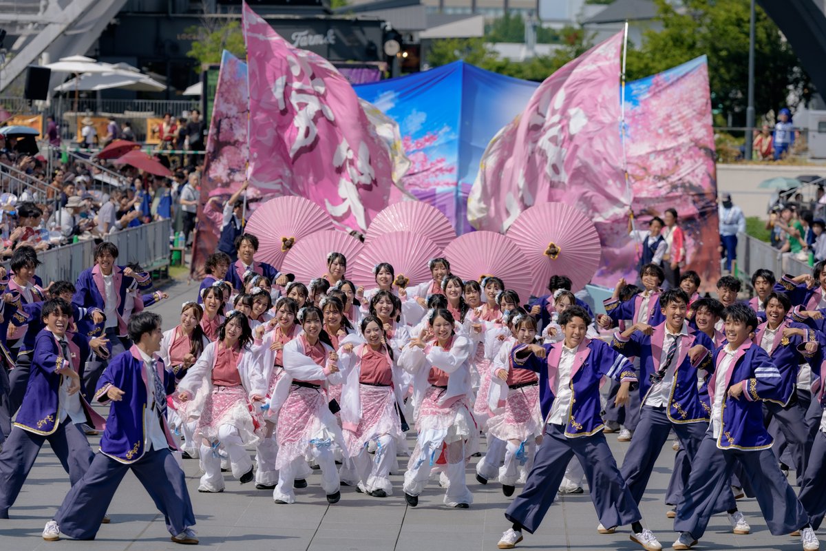To_Ru5678's tweet photo. 常笑 / @jyousyou4351
演舞タイトル「桜咲」
にっぽんど真ん中祭り / 2026年8月30日
#どまつり #2026どまつり #常笑 https://t.co/HQ7rqd5Qqp