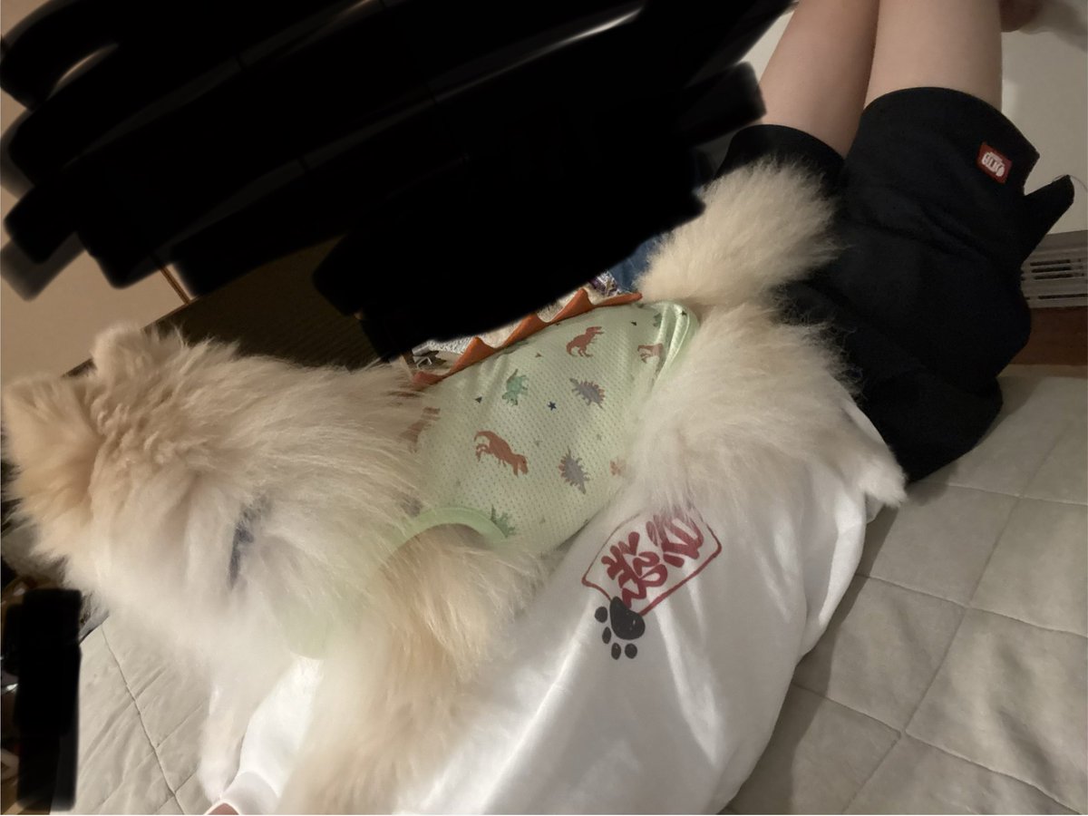 maddogCoro's tweet photo. 襲われてる俺と恐竜ころちゃん https://t.co/oFn7Yho79w