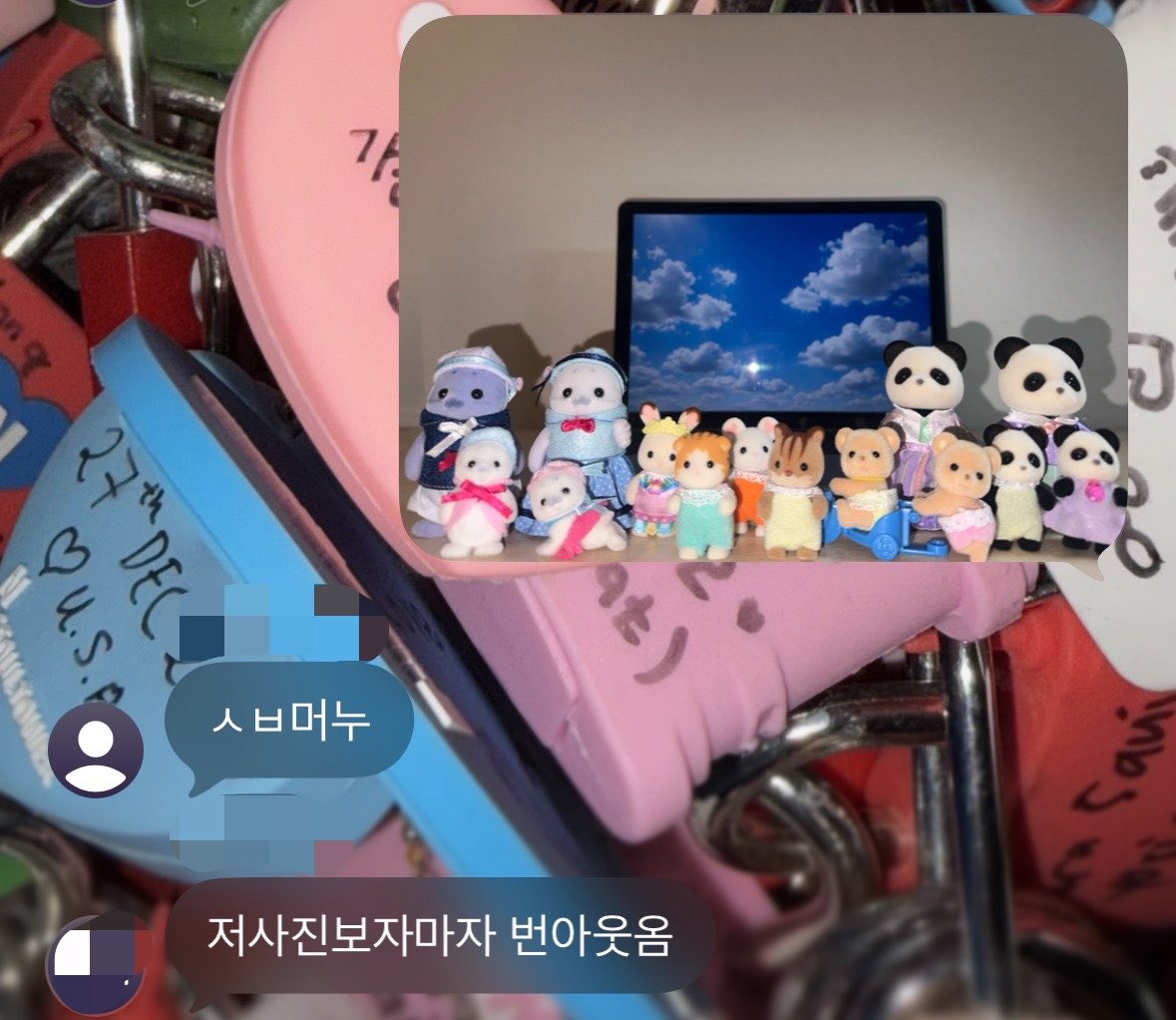 luvercclub's tweet photo. 후쿠오카에서 실바니안 14마리 데려옴 https://t.co/5kwK15NVrk