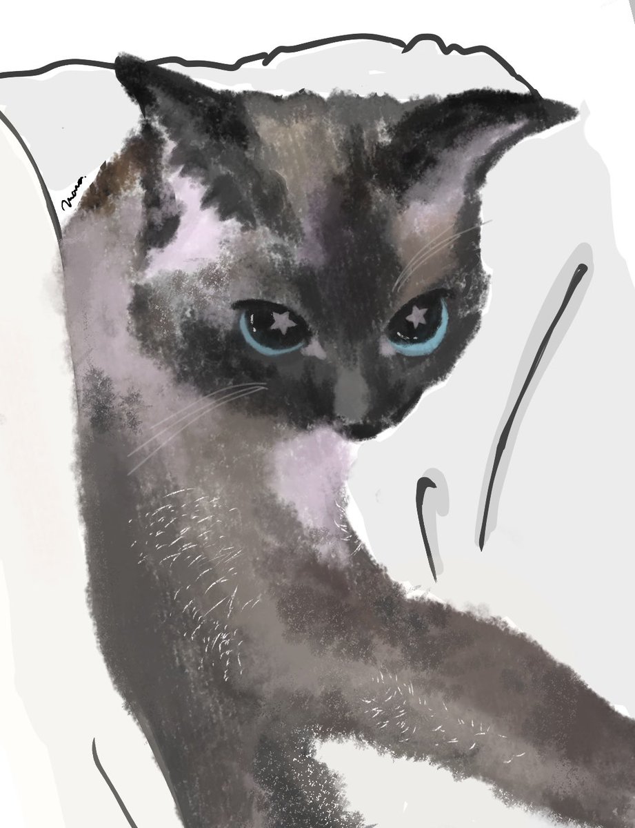 poyan000710's tweet photo. 사랑받고 있다는 것을 알고 있는　
baby🐱 ˖ . ݁𝜗𝜚. ݁₊

#석매튜 #SEOKMATTHEW #gia
#ZEROBASEONE #ZB1 https://t.co/uBecgr4kWg
