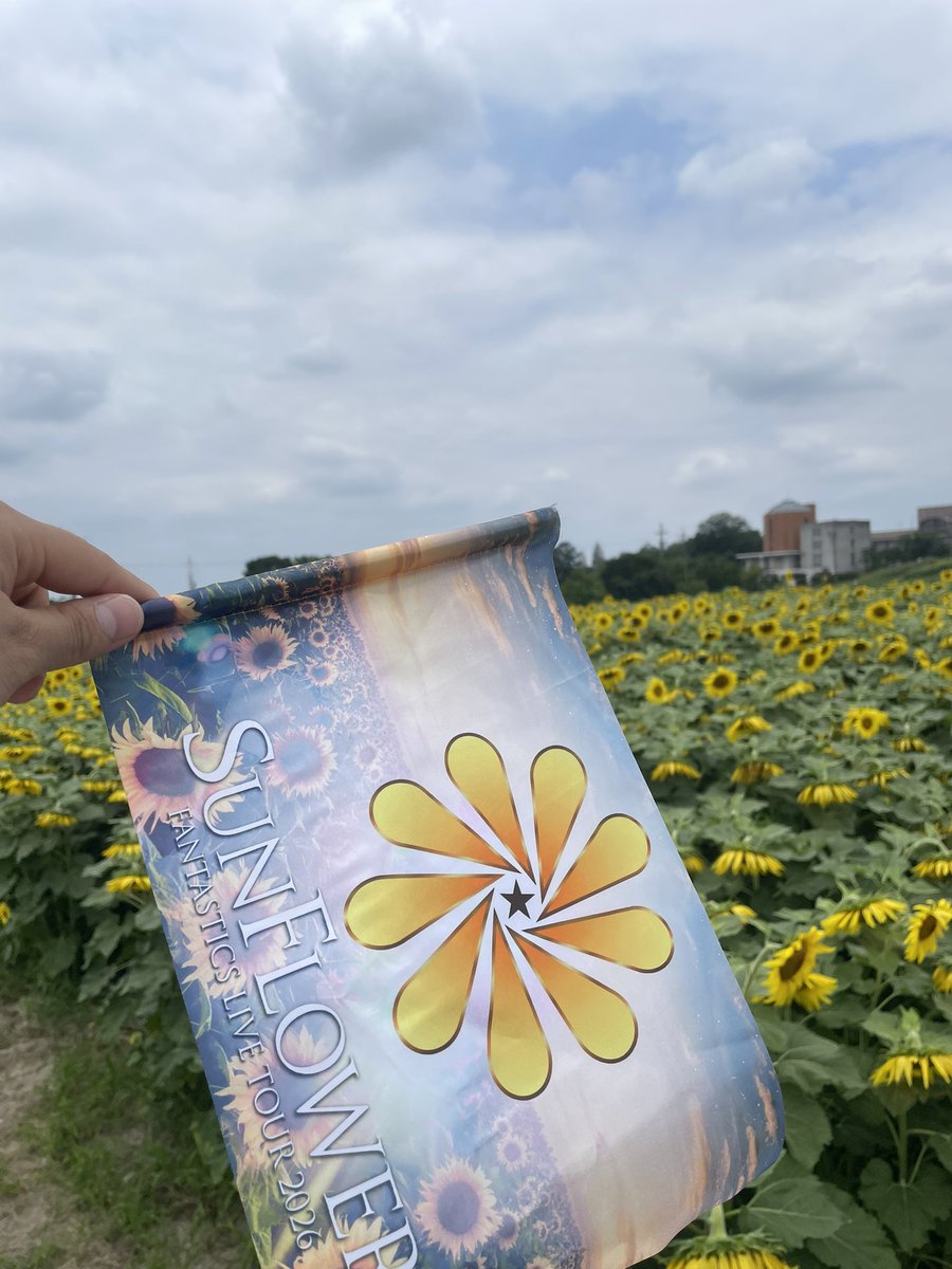 GENEenergy's tweet photo. #僕たちのサンフラワー 
今年の夏はひまわりにFANTAはピッタリ😆🙌 https://t.co/KD7b0YxzSe