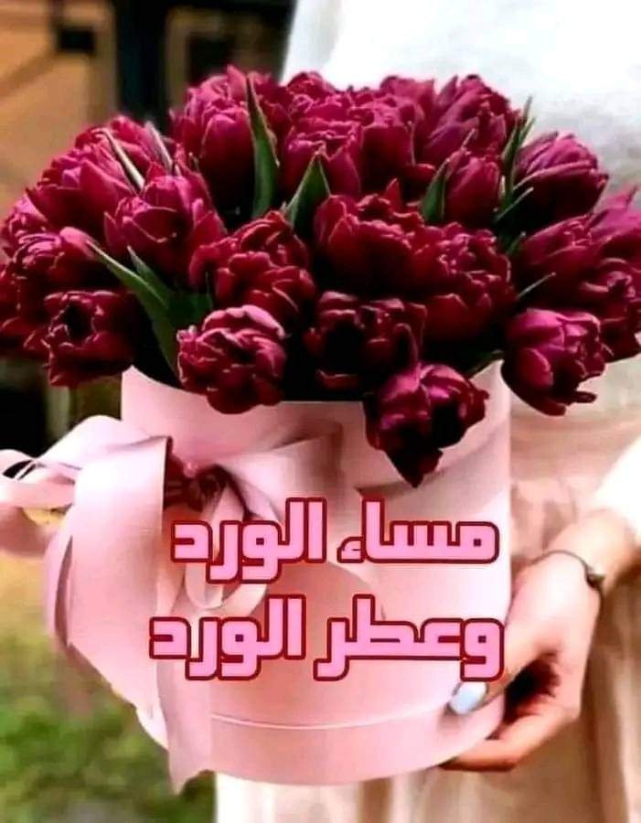 MsbahJ27611's tweet photo. @JwdyT82799 منووووره عزيزتي https://t.co/qrx8Z2d1lm