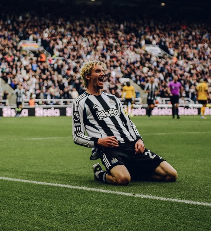 Newcastle_Col16's tweet photo. Te voy a extrañar como no te lo imaginas💔 https://t.co/I5r1cYXGjP