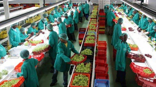 Mkenya005's tweet photo. We have the land, the minerals, the oil, and a young population. 

What we lack is processing. 

Cocoa should leave as chocolate.

Crude should leave as fuel. 

Ore should leave as metal. 

Value added at home is the shortest path to jobs, foreign exchange, and real independence. https://t.co/mc2PirpFnW