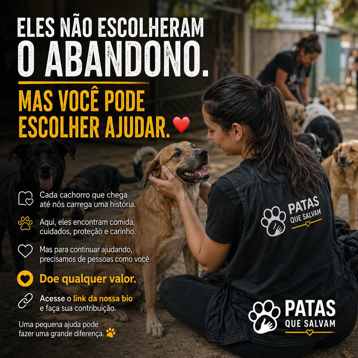 patasquesalvam's tweet photo. 📷 Eles precisam da sua ajuda para continuar aqui.
Esta frase, que está no nosso abrigo, não poderia ser mais verdadeira. O Patas que Salvam é o lar temporário desses anjos, e a realidade é que manter este espaço seguro e cheio de amor exige recursos constantes. https://t.co/7lJKfrdz83