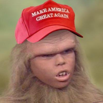 EmpyreanFire's tweet photo. @clueless1deux @JoJoFromJerz @RpsAgainstTrump https://t.co/j0aYgWkxl0