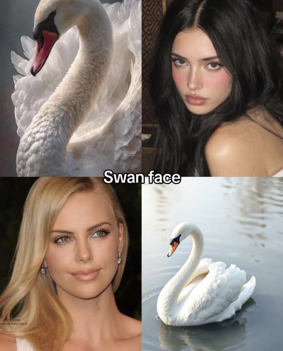 confusing_wot's tweet photo. Same vibe, different species. https://t.co/8FqI4cx2FR