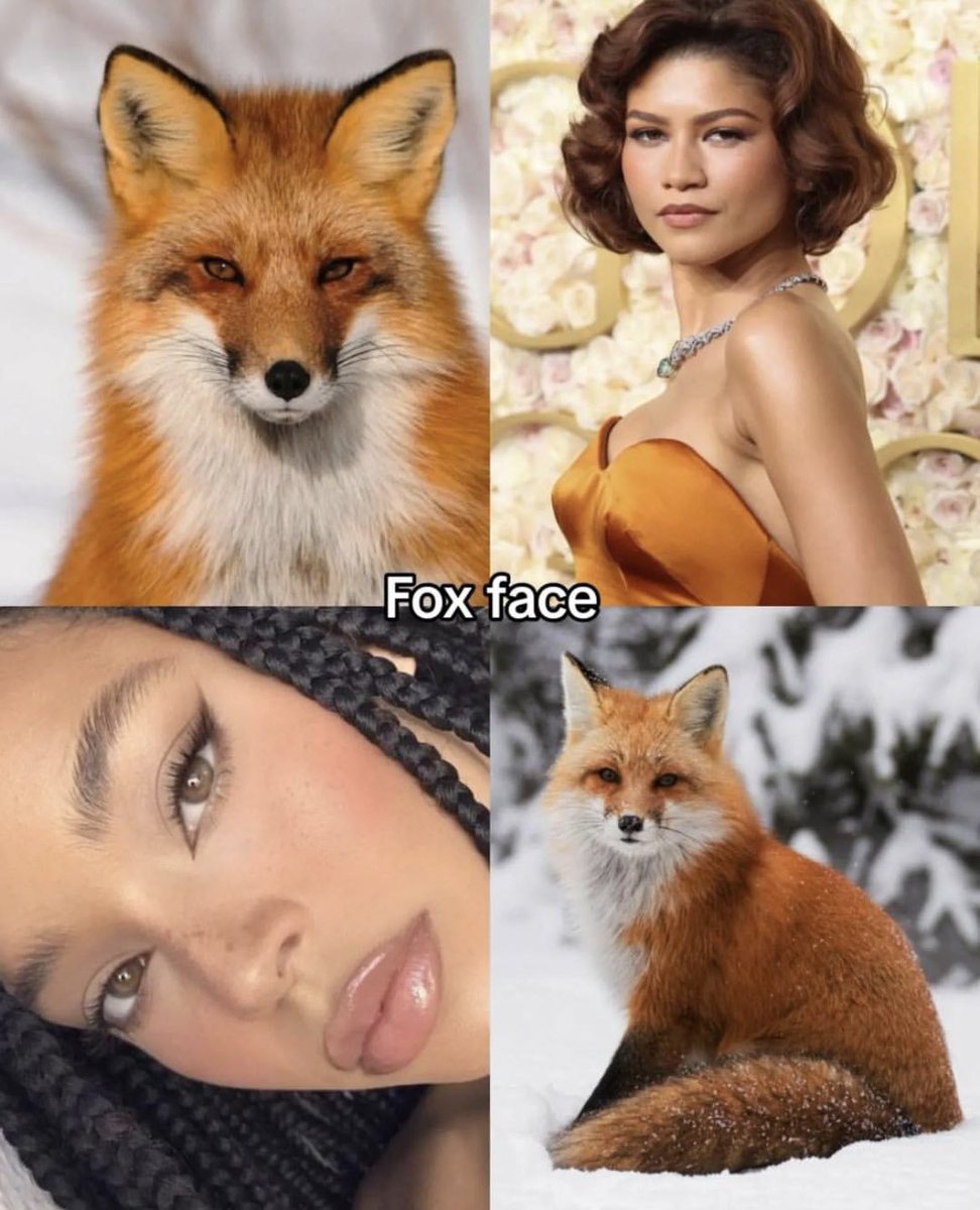 confusing_wot's tweet photo. Same vibe, different species. https://t.co/8FqI4cx2FR
