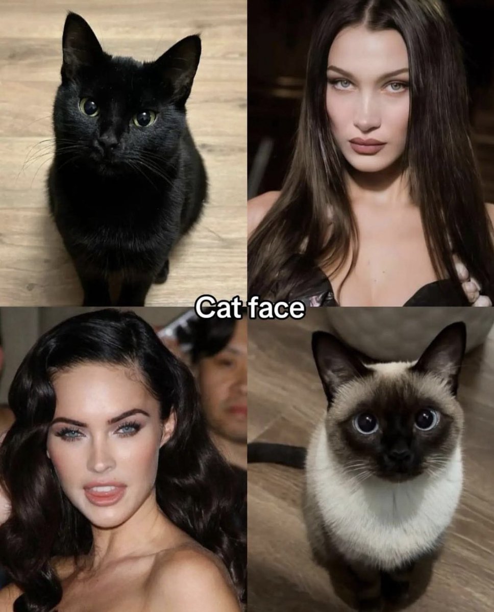 confusing_wot's tweet photo. Same vibe, different species. https://t.co/8FqI4cx2FR