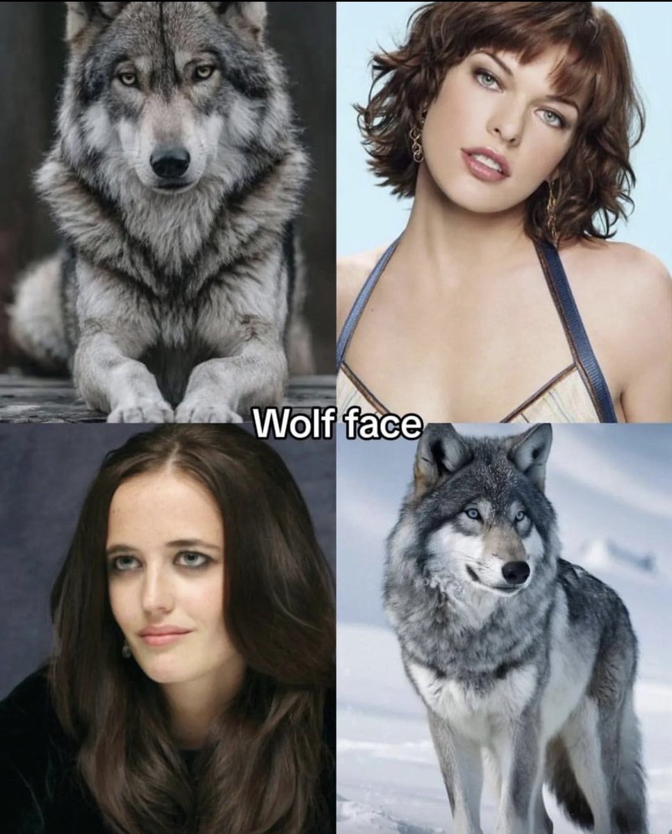 confusing_wot's tweet photo. Same vibe, different species. https://t.co/8FqI4cx2FR