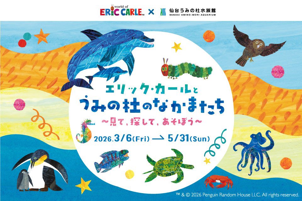 きりりん🦀💫 on X: 