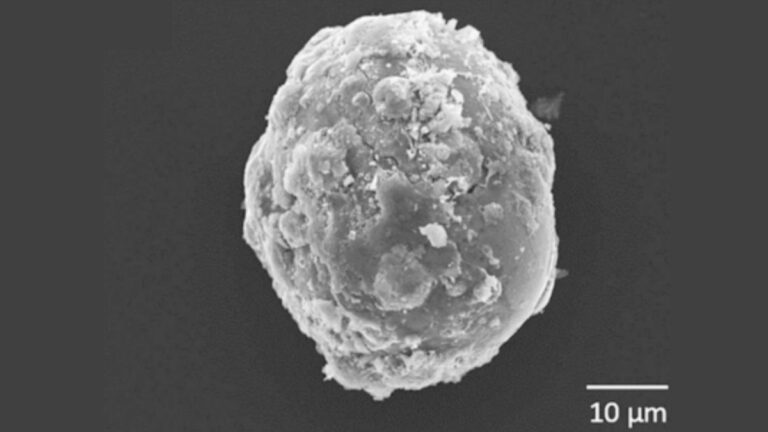 _Georgeobeid's tweet photo. This Looks Like Tiny Planets—but it’s Actually Microscopic Gunshot Residue. 🔬😮
#Science #Forensics #Microscopy #DiebO37
🔗https://t.co/y9BmCv1Sfp https://t.co/bnHfq3BjTA