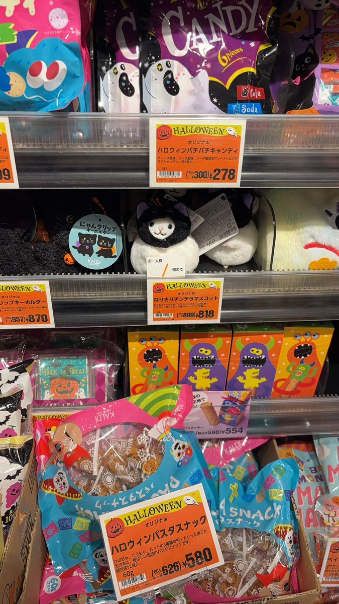 katori_tan's tweet photo. KALDIのチンチラでも見に行ってみるか〜と思って帰りに寄ったところ、うっかり目が合ってしまい、気付いたら対価を支払ってお迎えしていました
愛………… https://t.co/KaplBWdRoL