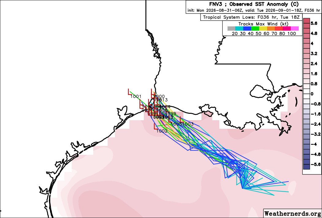RadarTM1's tweet photo. ⏰️10AM: #Invest97L con altas probabilidades de desarrollo ciclónico en el norte del Golfo de México y los remanentes de #Dolly con bajas probabilidades de desarrollo al norte de la Española. Seguimos pendientes!
#Hurricanes2026 #Cuba #Florida #PuertoRico #Caribe #Edouard https://t.co/KBlY0WTqbd