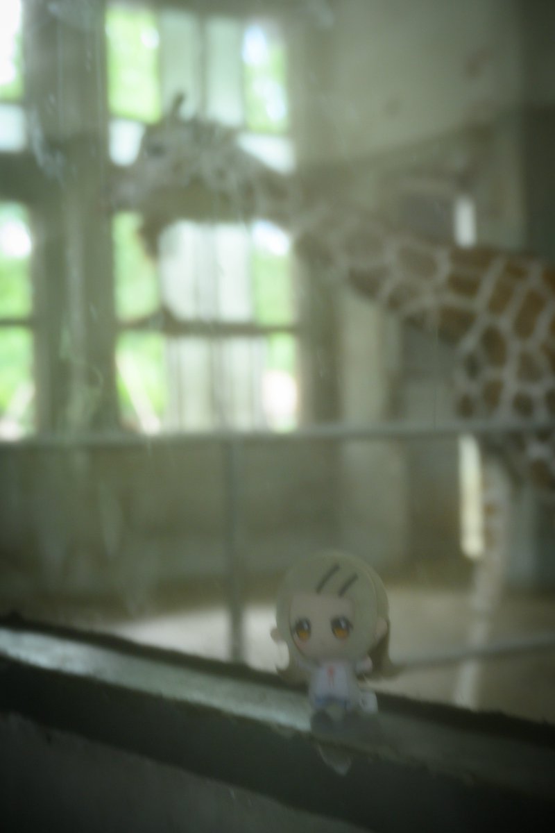 yaru7nui's tweet photo. 🦒広🏠

#初星学園ぬいぬい部 https://t.co/SYN7owk8wM