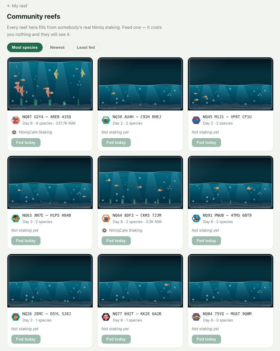 Nimiq_Cafe's tweet photo. Staking rewards patience. Then it shows you a number.

🐟🐠🦈Reef is an aquarium that fills from your real Nimiq staking - one cast per epoch, 17 species, and rarity that comes from how long you've staked, never how much.

Totally free. No token, no NFT.
https://t.co/XW5UENF5Eu

#nimiq #nimiqminiapp #nimiqcommunity #GameOnline