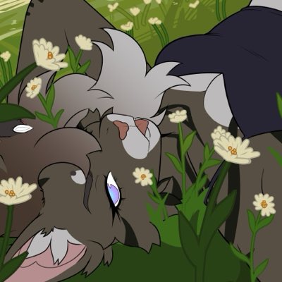 kitty_kat0208's tweet photo. #NewProfilePic https://t.co/BSIlMXPTrF