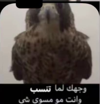 _pqi7's tweet photo. هذي الحياه بتويتر لما ترد على تغريده وكلامك منطقي جداً: https://t.co/fAVLr5OQy3