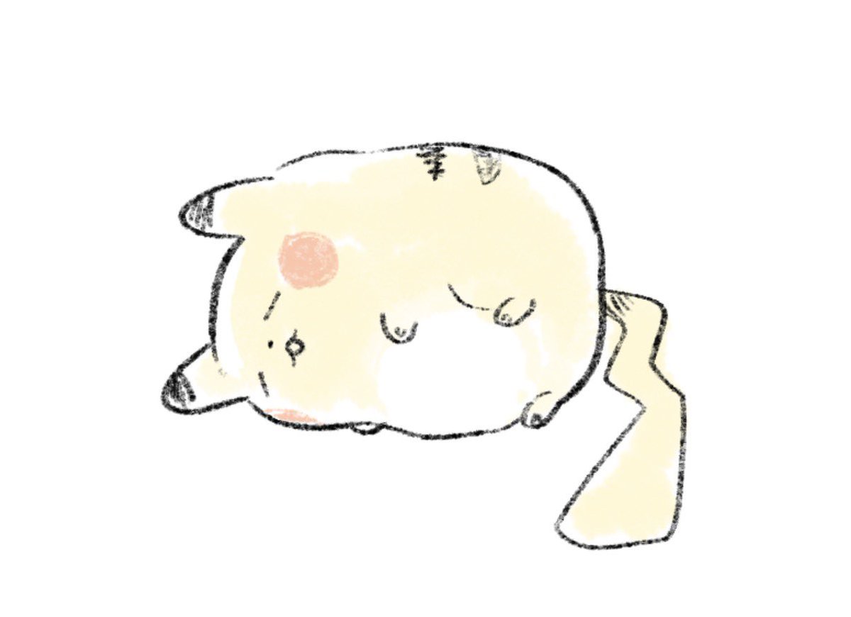 abareoomacaroni's tweet photo. もちもちとおやすみなさい https://t.co/Qy8iKoQZOX