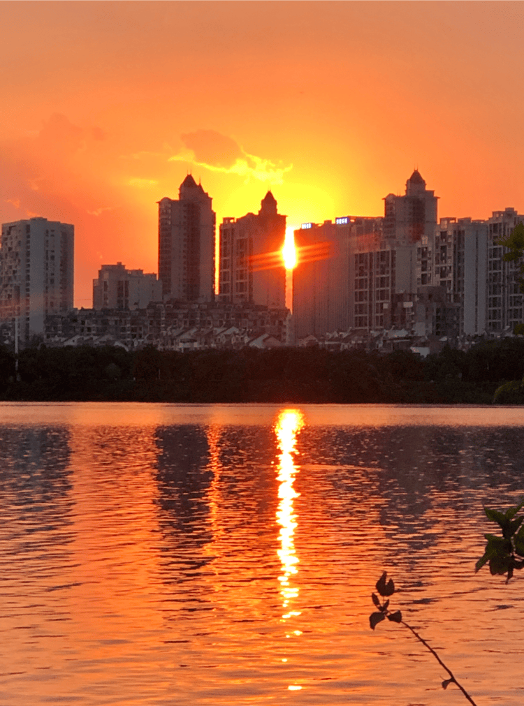 solassivosyo's tweet photo. Just caught a sunset shift through the office window—golden hues melting over the sky, my tired brain finally breathing for 2 whole seconds. Today’s small win: pausing to notice the light instead of rushing through it. https://t.co/SGDBxAV8yk